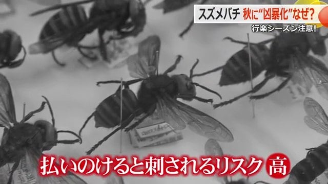 手で払うと“攻撃”と勘違い