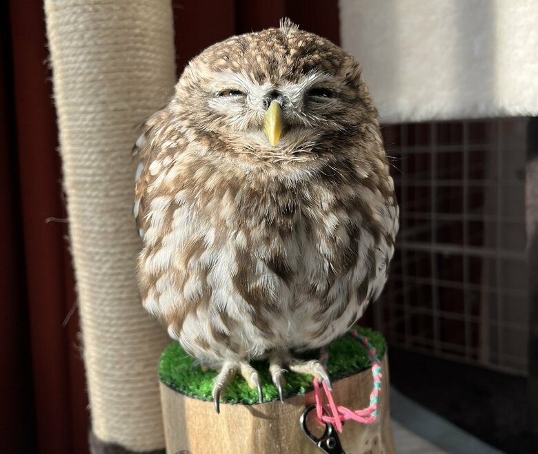 慈愛に満ちた表情