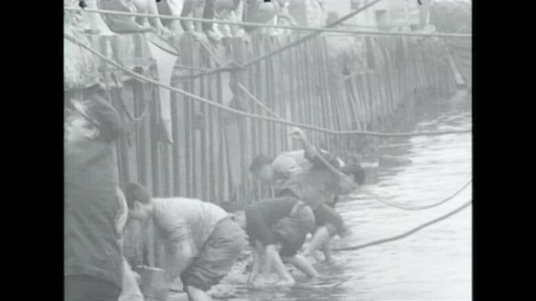 1963年には釧路川河口付近にサンマの群れが押し寄せた