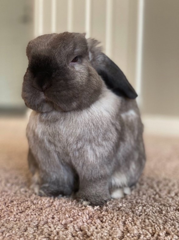 提供：和泉ユタカさん