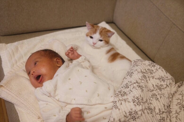 動画のその後（提供：こなつさん）