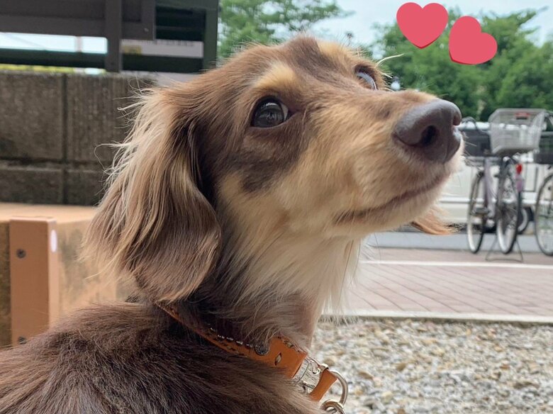 今は立派に成長した