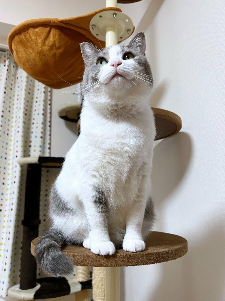 提供：いずもん/まろ様さん