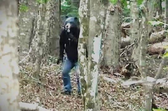 【訓練】『認定こども園の遊び場にヒグマ』出没想定した訓練行われる―警察官扮するクマが子どもの背後からヒタヒタ忍び寄る…先生が避難誘導「元気よく声を出してクマに音で知らせる事が効果的」〈北海道浦河町〉