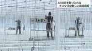 「清潔感のある農業ができる」AI技術導入の大型きゅうり施設が完成　気候変動や担い手不足の課題解消へ