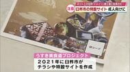 臼杵市の特設サイトのドメイン　成人向けサイトに使用　市がアクセスしないよう呼びかけ　大分