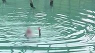 北海道の観光名所「青い池」で得意げに泳ぐ “トンデモ迷惑男”  外国人か 池の中でピースサイン 頭上には違法ドローンも AI監視カメラの死角ねらったか オーバーツーリズムに悩まされる北海道美瑛町
