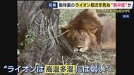 “夏バテ”気味の動物も…日本の「高温多湿」に弱い動物たち　熱さ対策に追われる動物園に密着
