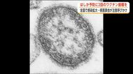 「はしか」の感染、全国で拡大　「ワクチンの早期接種を」　秋田県医師会、適切な予防措置取るよう注意喚起