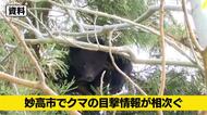 【クマ目撃情報】新潟・妙高市でクマの目撃情報が相次ぐ　住宅街や民家点在地域で2件
