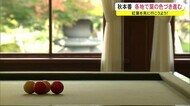 紅葉を見に行こう! 秋本番 各地で葉の色づき進む 秋田
