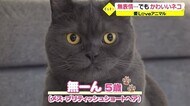 【愛LOVEアニマル】無表情がチャームポイント 宇野さんちの「むーんちゃん」【福井】