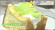 コロナ禍のピンチをチャンスに シャインマスカットのスイーツが話題 苗木のオーナー制度も人気に【愛媛】