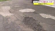 クマが立て続けに人を襲う 男女2人がけが 秋田・潟上市
