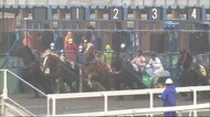 未来の名馬目指して約180頭が関門に挑戦 ばんえい競馬能力検査始まる