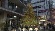 広島アンデルセン クリスマスツリーに点灯 シンボルの”もみの木”ライトアップ