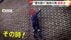 「降りろー！」まるで“スパイダーマン”　高さ10ｍの壁登る男　逃走…
