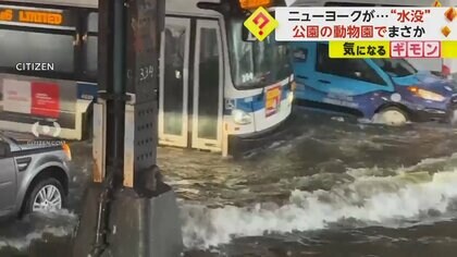 ニューヨーク“水没”　「なんてことだ！」地下鉄やバスに浸水…アシカにも影響　各地冠水で一時非常事態宣言　米