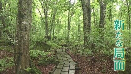 「白神山地」魅力を伝え続けるための「課題」　保護と活用のバランスとり「人材不足」を克服する取り組みが急務