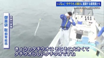 飼育員が海で一本釣り！　宮島水族館のシンボル「タチウオ」　“生きた姿を見てほしい”展示にかける情熱【広島発】