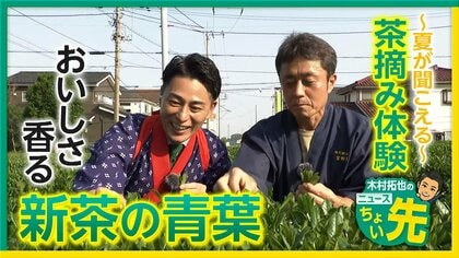 【中継】新茶は今が旬　五感を刺激する楽しみ方教えます！…海外での需要も増　埼玉・狭山市
