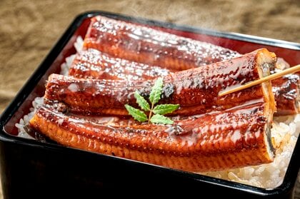 ウナギ価格上昇か…「全種類で規制強化」採択勧告　11月末からの国際会議の行方は？