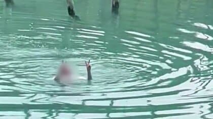 北海道の観光名所「青い池」で得意げに泳ぐ “トンデモ迷惑男” 　外国人か　池の中でピースサイン　頭上には違法ドローンも AI監視カメラの死角ねらったか　オーバーツーリズムに悩まされる北海道美瑛町