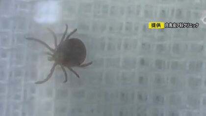 マダニ通じて感染し“人⇔ペット”も…感染症『SFTS』に飼い主も戦々恐々 人の場合は致死率最大3割近く