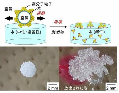 【大阪工業大学】酸性にするとパチンと消えるシャボン玉 ガスの運搬・放出が可能に