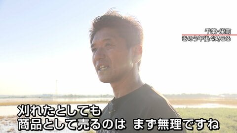 【堤防決壊は3カ所に】千葉･印旛沼で大規模冠水続く…米農家「泣かないようにしている…」被害の実態を取材