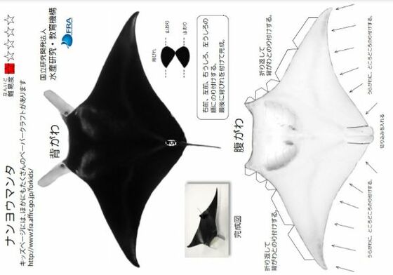 海の生き物 のリアルなペーパークラフトを無料公開 最高難度はズワイガニ おすすめを聞いた