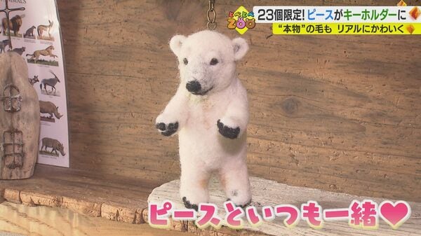 本物”の毛も使用…23個限定のキーホルダー 動物園のアイドルといつでも