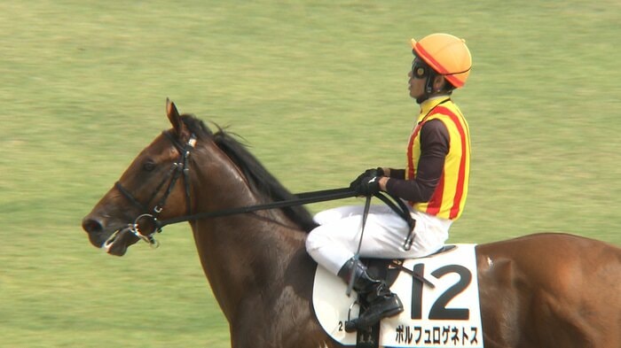 未勝利戦を制したポルフュロゲネトス