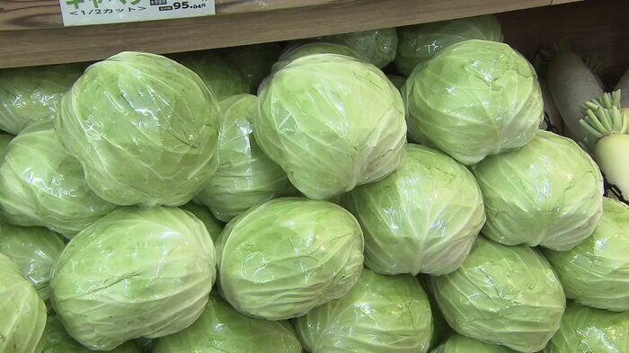 キャベツは1か月前よりも約10％価格が「値下がり」（※7月時点でのデータ）