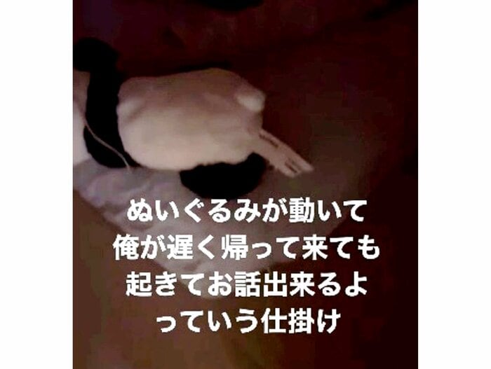 提供:西出翔さん