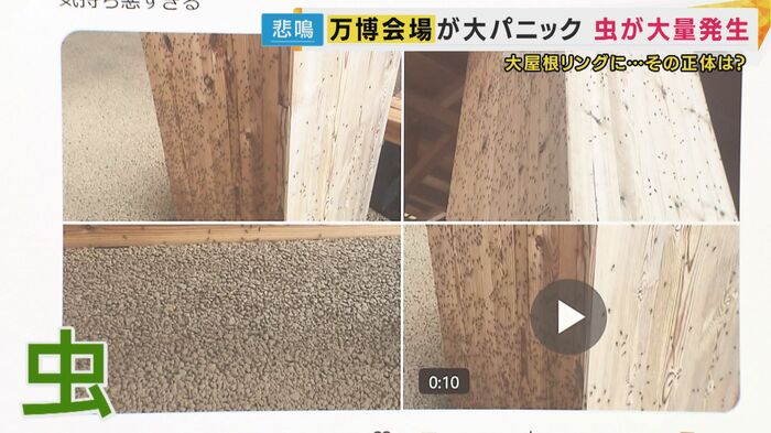 SNSの投稿