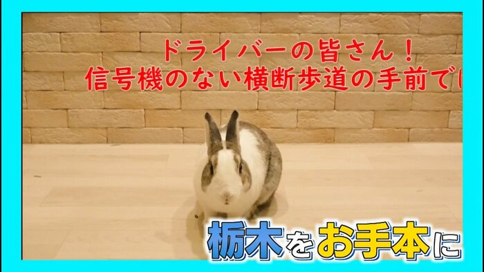 鳥取県警も「一時停止率」向上狙う