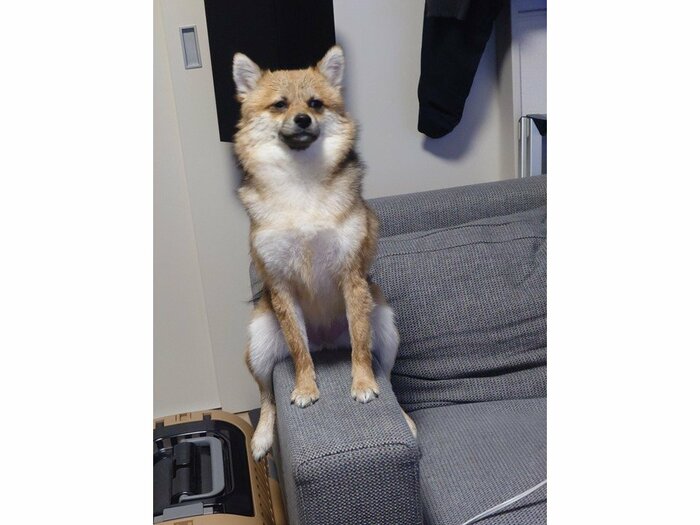 投稿された写真
