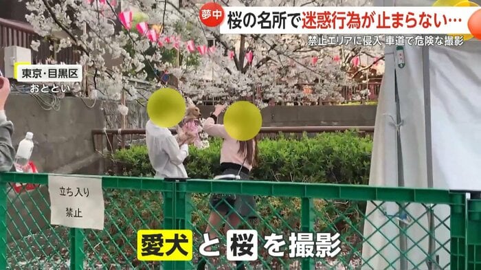 立ち入り禁止場所で撮影する人も