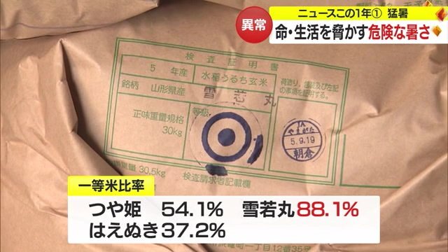 高い数値を維持した「雪若丸」