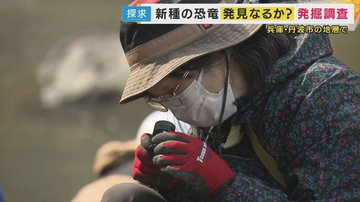 黙々と化石を探すボランティア