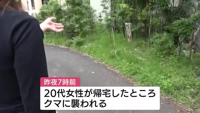 帰宅時に…20代女性がクマに襲われ軽傷「“クマだ”と思った瞬間追いかけてきた」【新潟・長岡市】