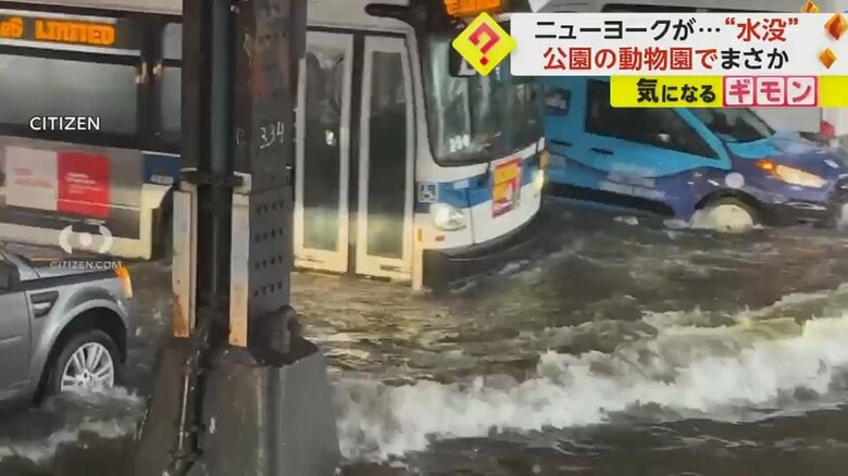 ニューヨーク“水没”　「なんてことだ！」地下鉄やバスに浸水…アシカにも影響　各地冠水で一時非常事態宣言　米｜FNNプライムオンライン