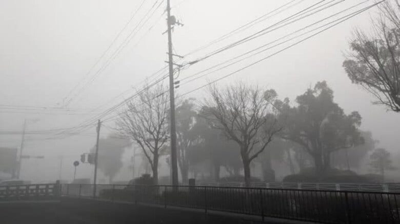 県内に濃霧 視程障害に注意を 交通機関への影響も【佐賀県】｜FNNプライムオンライン