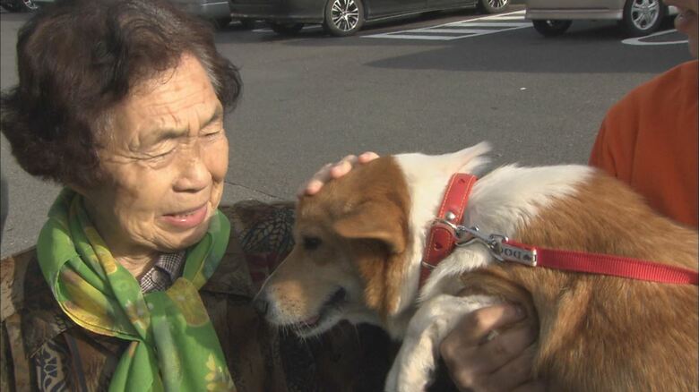 東日本大震災で飼い主と離れ離れに…福島と岐阜を何度も往復して48匹の犬を保護 今も10匹が共に暮らす｜FNNプライムオンライン