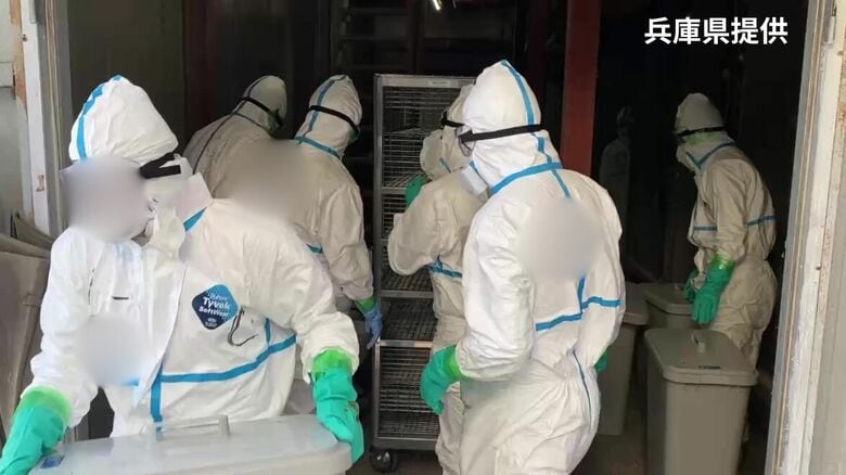 ニワトリ約15.5万羽を殺処分へ　兵庫県で今シーズン2例目の鳥インフルエンザ感染確認｜FNNプライムオンライン