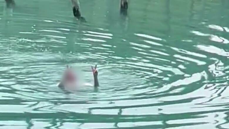 北海道の観光名所「青い池」で得意げに泳ぐ “トンデモ迷惑男” 　外国人か　池の中でピースサイン　頭上には違法ドローンも AI監視カメラの死角ねらったか　オーバーツーリズムに悩まされる北海道美瑛町｜FNNプライムオンライン