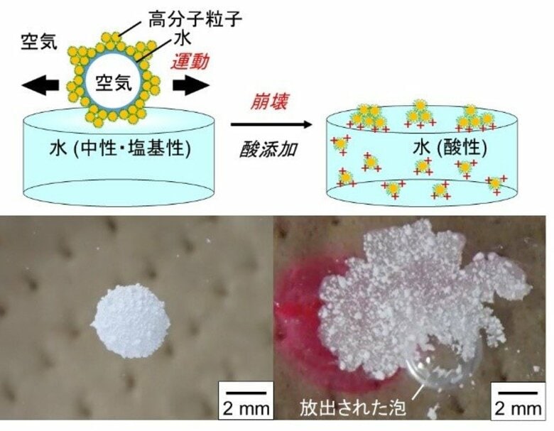 【大阪工業大学】酸性にするとパチンと消えるシャボン玉 ガスの運搬・放出が可能に