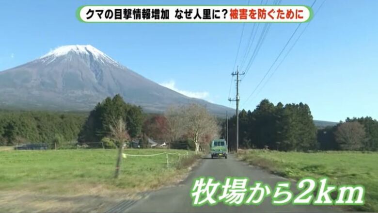 鶏舎被害の2カ月前にクマが捕獲された林