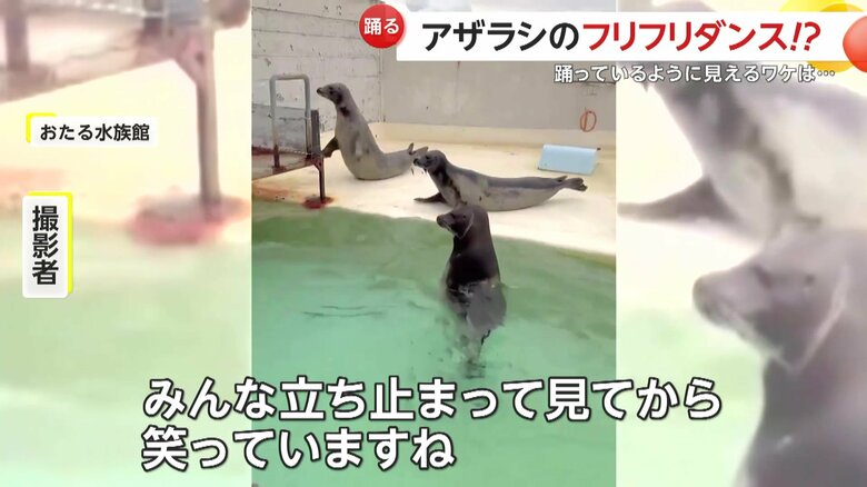 「みんなちょっと立ち止まって見てから笑っていますね」と語る撮影者